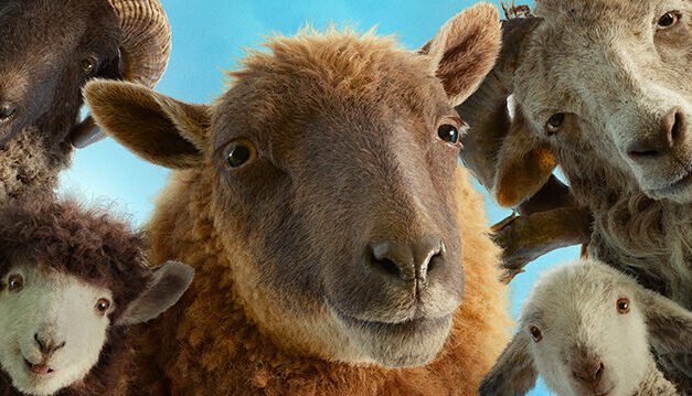 Watch the Featurette for Amazon MGM Studios’ “THE SHEEP DETECTIVES”